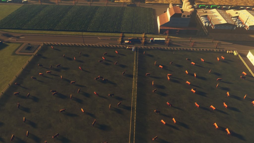 orange chirper meaning cities skylines